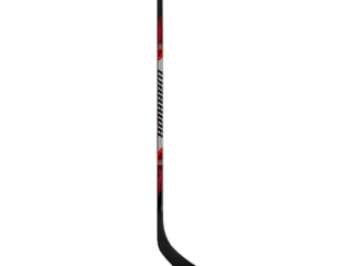 Warrior Rise 10 FLex Yth. Ice Hockey Stick