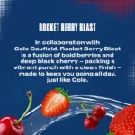 Cwench Tetra Ready to Drink Rocket Berry Blast (500ml) - Afbeelding 3